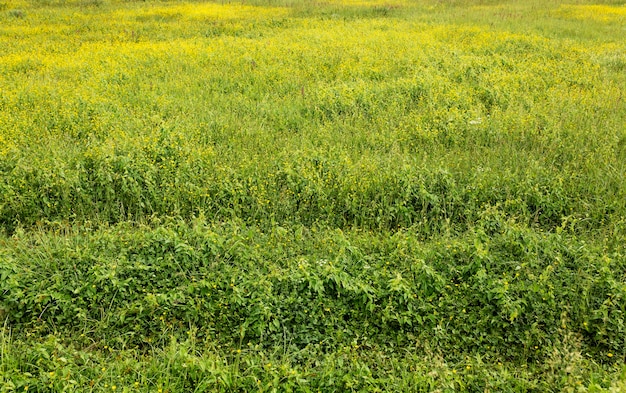 Ländlicher Landschaftswinkel