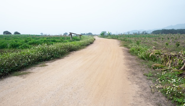 Ländlicher Schotterweg und Gras auf beiden Seiten der Straße. Pfad in ländlichen Gebieten.