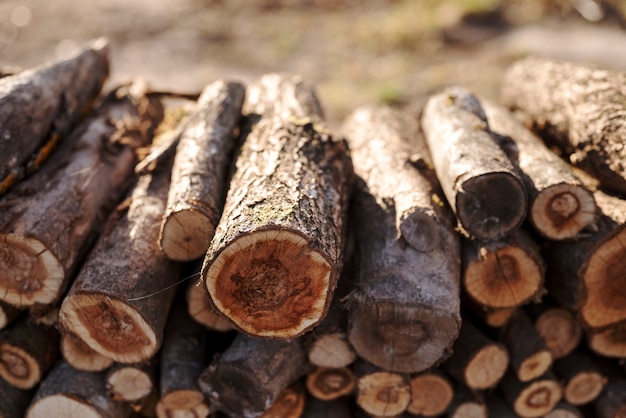 Foto ländliches lifestyle-konzept mit hohem winkel aus holzstämmen