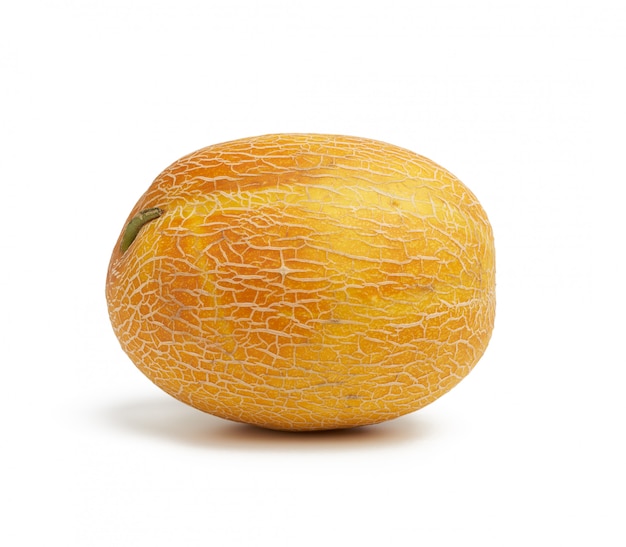 Längliche runde gelbe reife Melone lokalisiert auf weißem Hintergrund