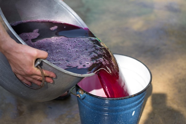 Lagar com mosto tinto e parafuso helicoidal Técnica antiga tradicional de vinificação Filtragem de uva