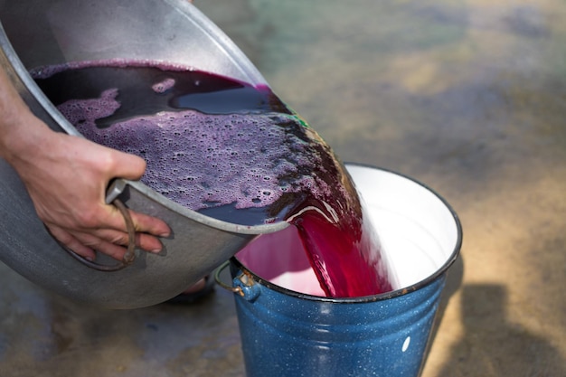 Lagar con mosto tinto y tornillo helicoidal Antigua técnica tradicional de vinificación Uva filtrada