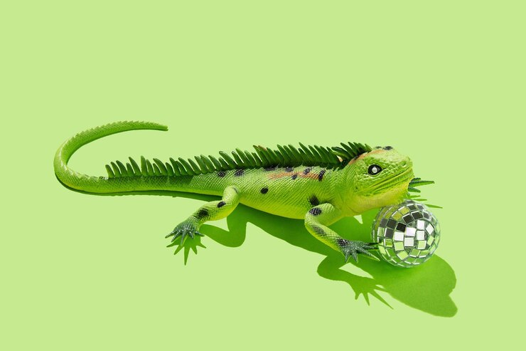 Foto lagarto iguana com bola de discoteca sobre fundo verde conceito mínimo copie o espaço