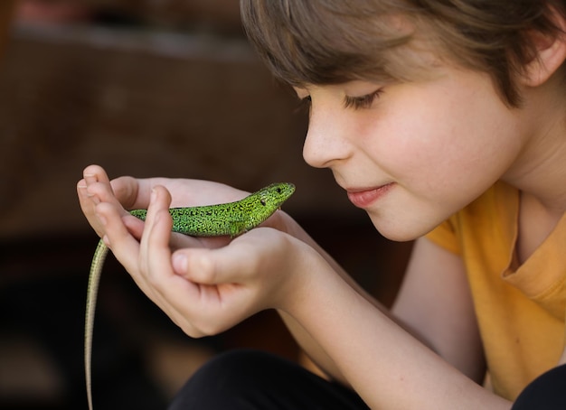 Lagarto verde en primer plano de la mano del niño