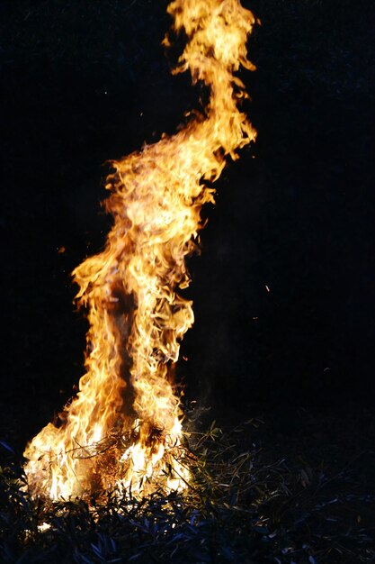 Foto lagerfeuer auf dem feld in der nacht