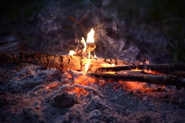 Lagerfeuer auf einer Lichtung im Wald am Abend Brennende Holzscheite offene Flamme eines Feuers Nacht Lagerfeuer