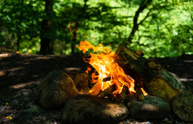 Lagerfeuer aus Baumstämmen in der Natur