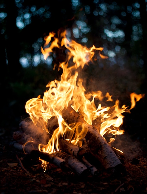 Lagerfeuer aus Brennholz