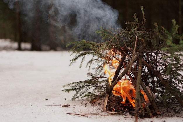 Lagerfeuer aus Tannenzweigen im Winterwald, Überleben in der Kälte und Tierwelt