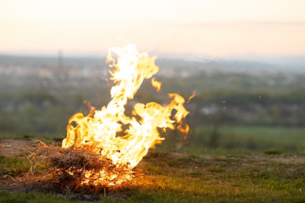 Lagerfeuer brennt auf einer grünen Wiese