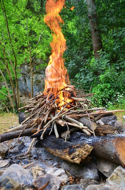 Lagerfeuer gegen Bäume im Wald