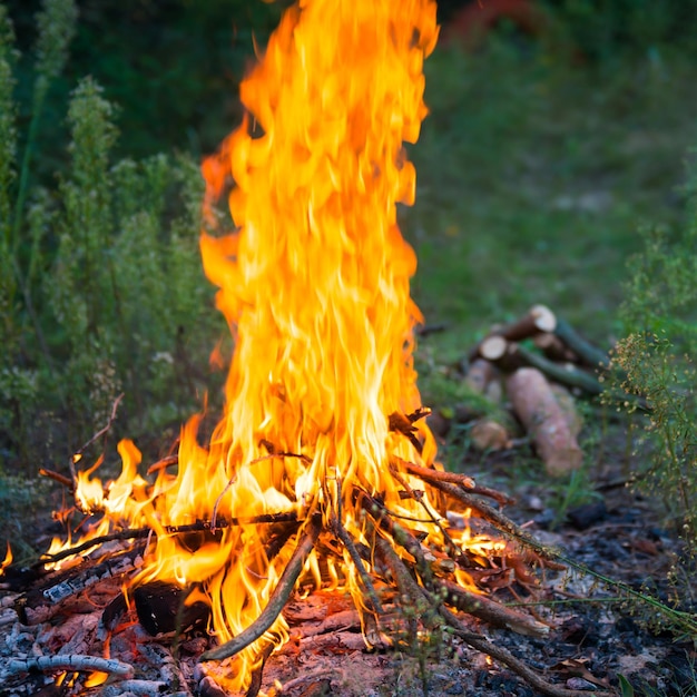 Lagerfeuer im Wald mit großer Feuerflamme