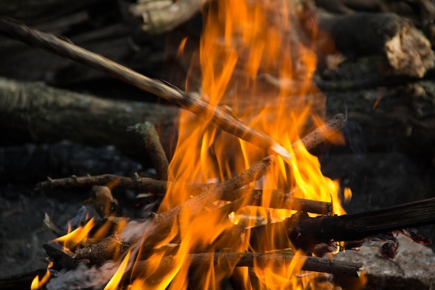 Lagerfeuer im Wald