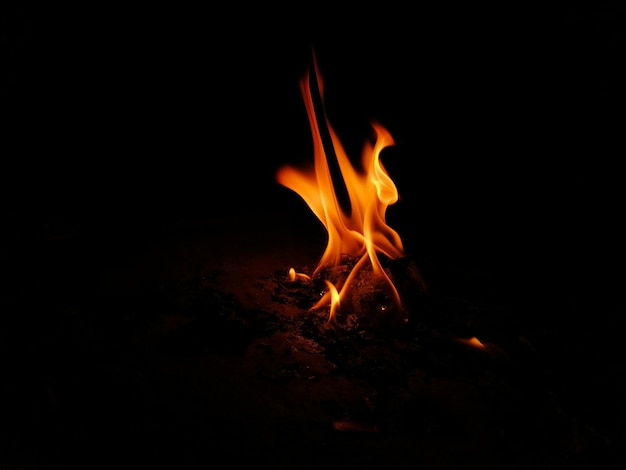 Foto lagerfeuer in der nacht, feuerflamme