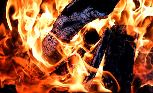 Lagerfeuer mit verkohlter Brennholznahaufnahme, Hintergrund auf einem schwarzen Hintergrund