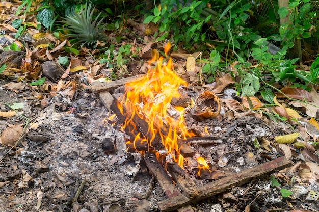 Lagerfeuer tagsüber, um Müll im Stapel loszuwerden. Feuer, das im Müllstapel glüht, um sauber zu bleiben