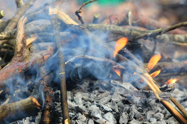 Foto lagerfeuer