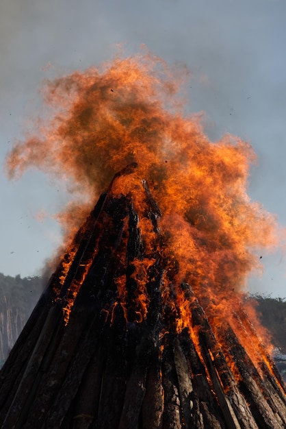 Lagerfeuerflamme Nahaufnahme auf dem Hintergrund des Waldes