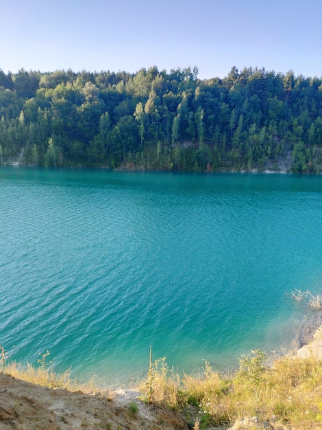 un lago con agua azul y un bosque en el fondo