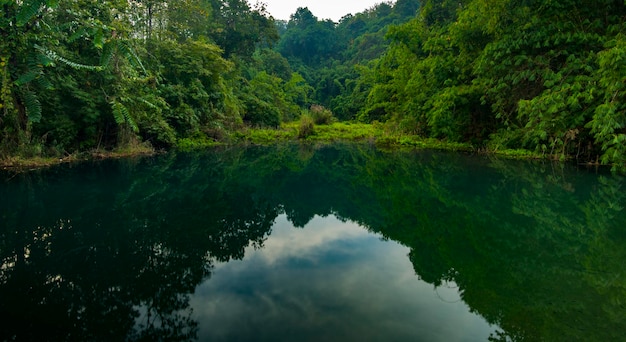 Lago de agua de bosque tropical