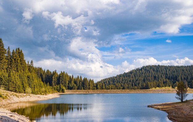 Lago con agua clara y orilla de piedra en un bosque de abetos con abetos contra un cielo diurno