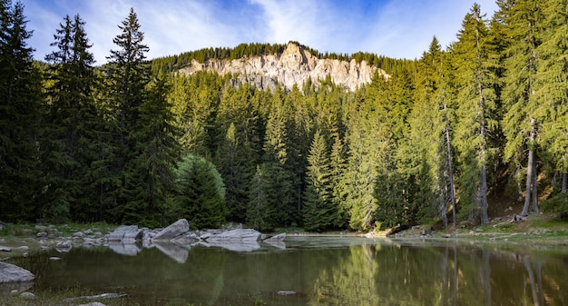 Lago con agua clara y orilla de piedra en un bosque de abetos con abetos contra un cielo diurno