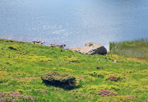 Foto lago alpino nesamovyte en barranco de montaña de verano (ucrania, chornogora ridge, cárpatos)