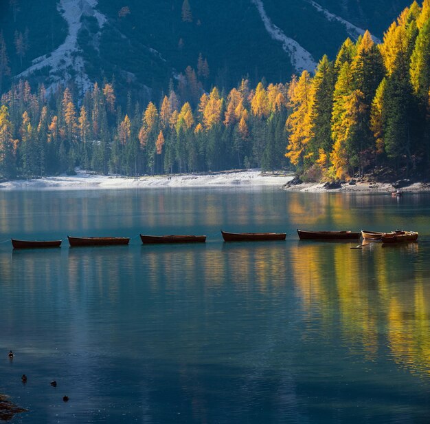 Lago alpino pacífico do outono Braies ou Pragser Wildsee FanesSennesPrags national park Tirol do Sul Dolomitas Alpes Itália Europa