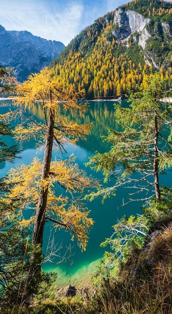 Lago alpino pacífico do outono Braies ou Pragser Wildsee FanesSennesPrags national park Tirol do Sul Dolomitas Alpes Itália Europa