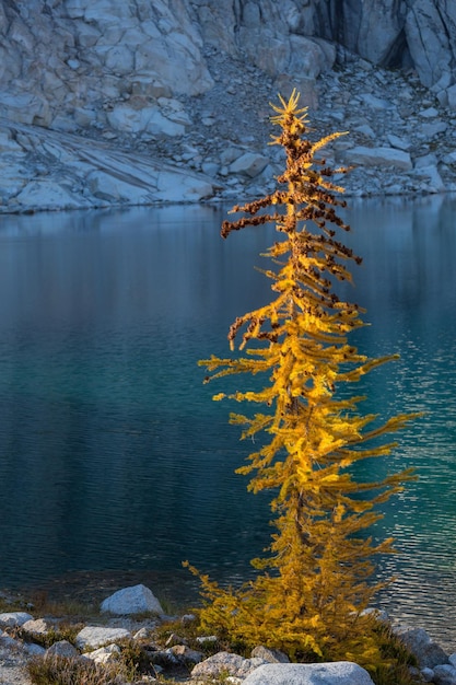 Foto lago alpino