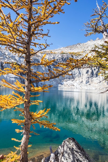 Foto lago alpino