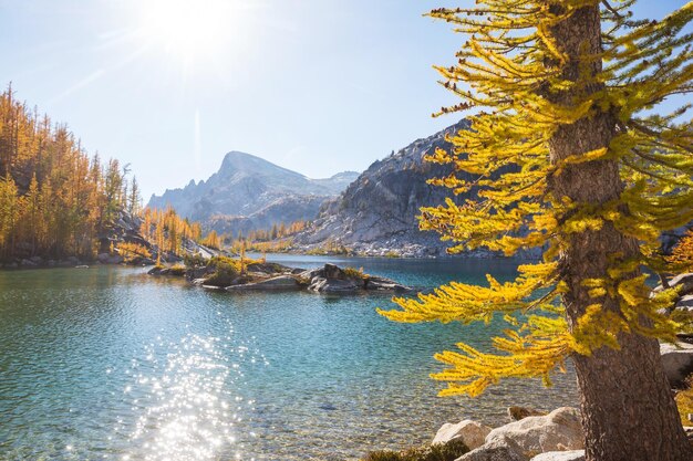 Foto lago alpino