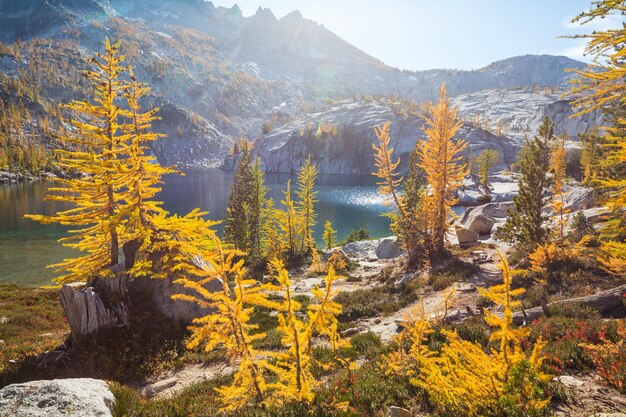 Foto lago alpino