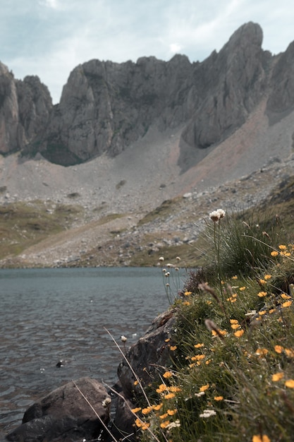 Lago de alta montaña Paisaje de alta montaña