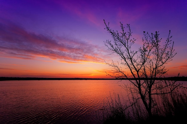 Lago ao nascer do sol com uma árvore em primeiro plano