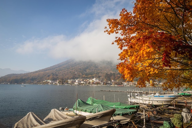 Un lago con un árbol y un bote frente a él.