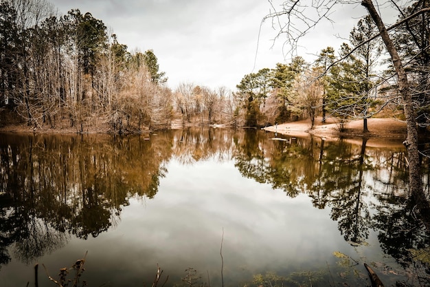 Foto un lago con un árbol en el fondo y un cielo nublado