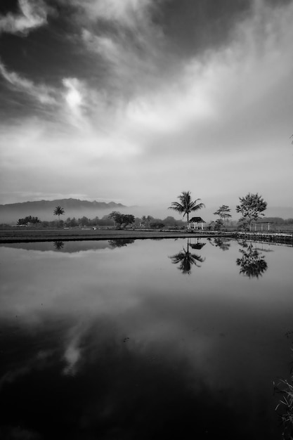 Un lago con un árbol y nubes al fondo.