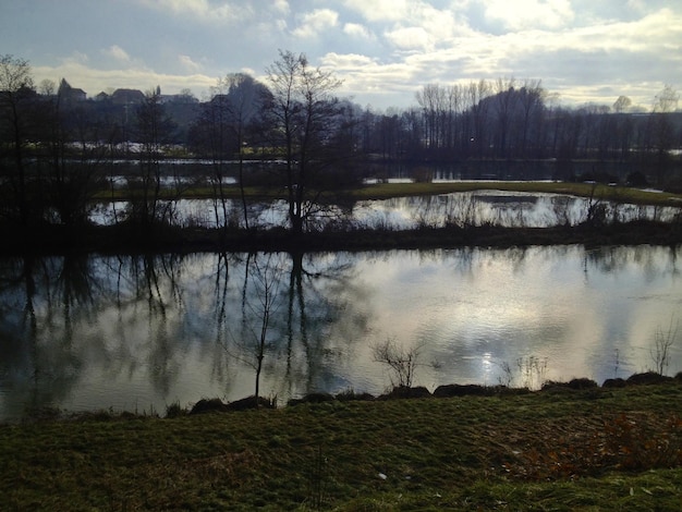 Lago y árboles contra el cielo nublado