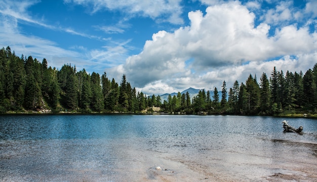 Lago con árboles a los lados en las montañas