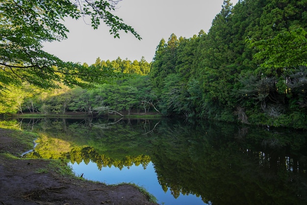 Un lago con árboles y un lago al fondo.