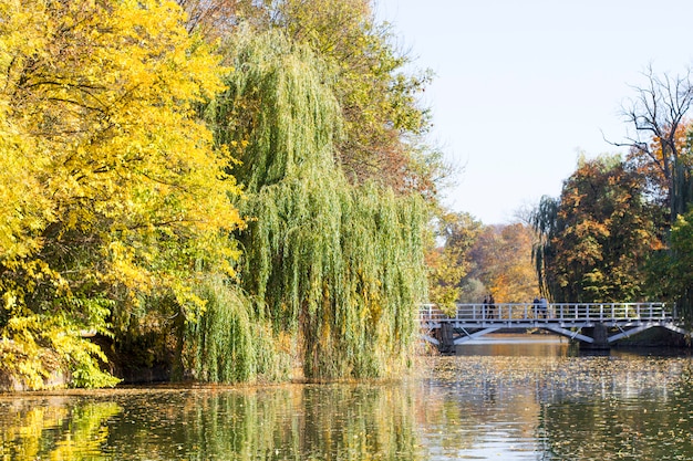 Lago y árboles en el parque otoño