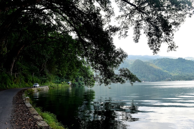 Lago con árboles verdes