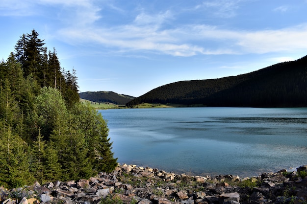 Lago azul en el bosque