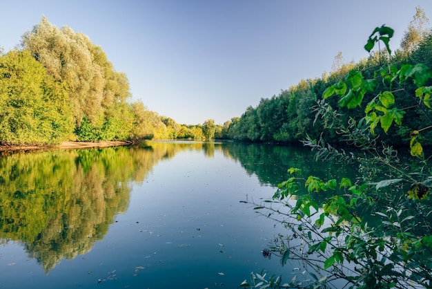 Lago azul da floresta