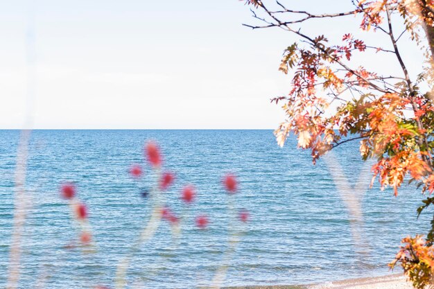 lago baikal no outono e verão