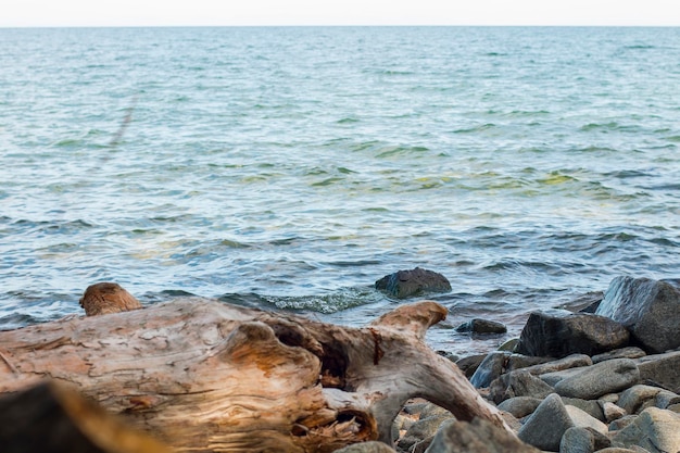 Foto lago baikal no verão e outono