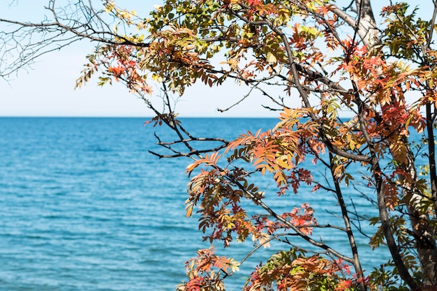 lago Baikal no verão e outono