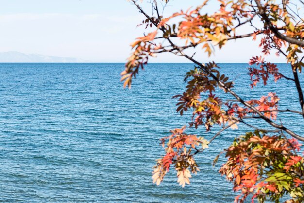 Foto lago baikal no verão e outono