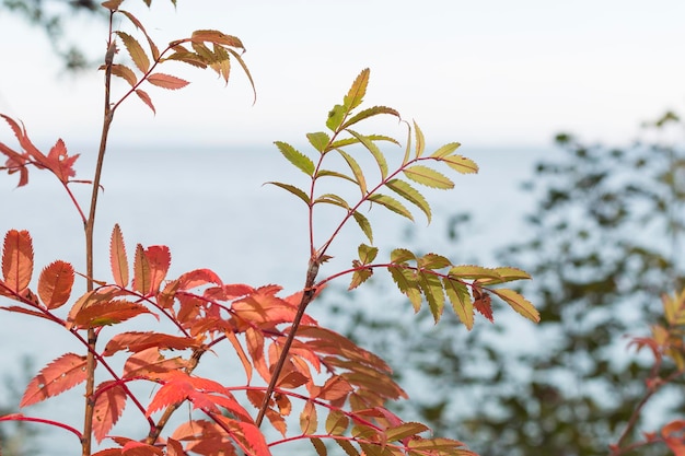 lago Baikal en otoño y verano